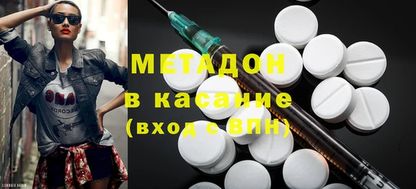 хмурый Аркадак