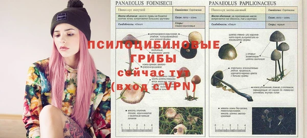 метамфетамин Михайловск