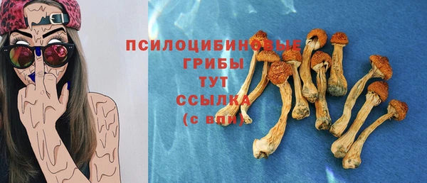 ECSTASY Михайловка
