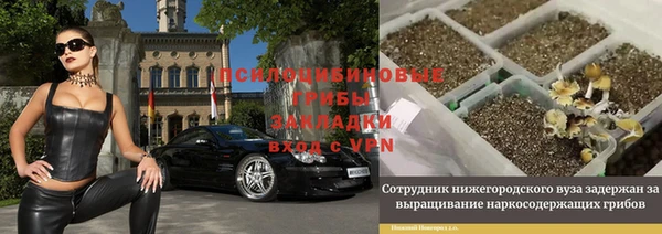 метадон Михайлов