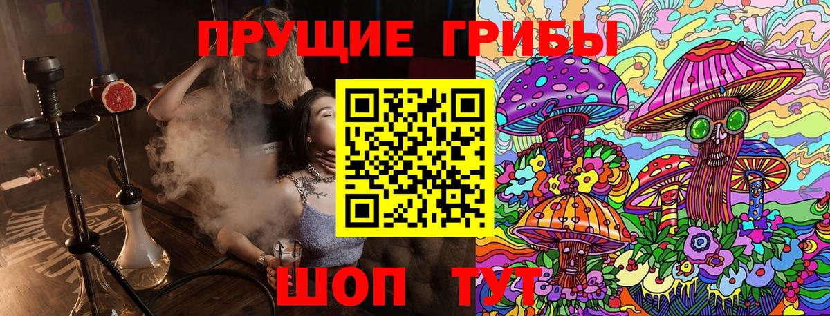 Дивногорск  Псилоцибиновые грибы прущие грибы  Вход с VPN 