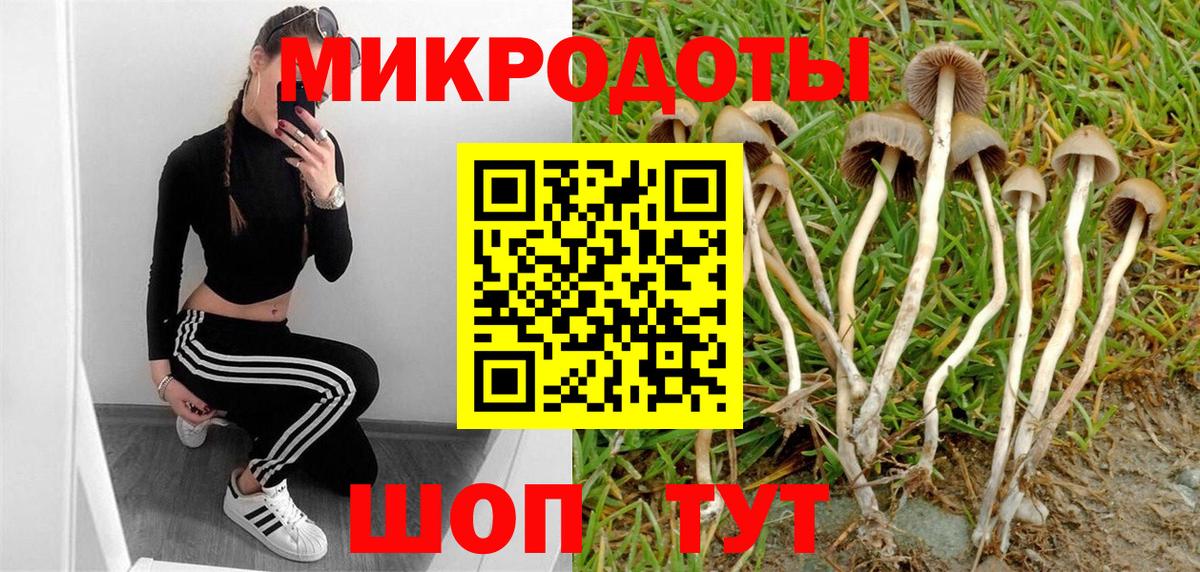 Псилоцибиновые грибы прущие грибы Дивногорск