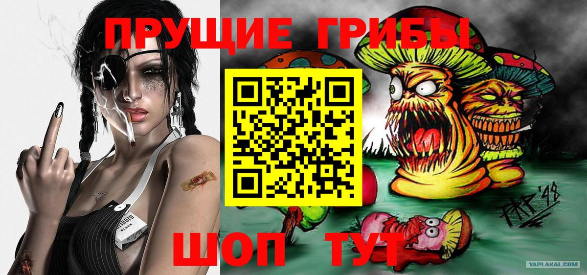 Псилоцибиновые грибы Magic Shrooms Дивногорск